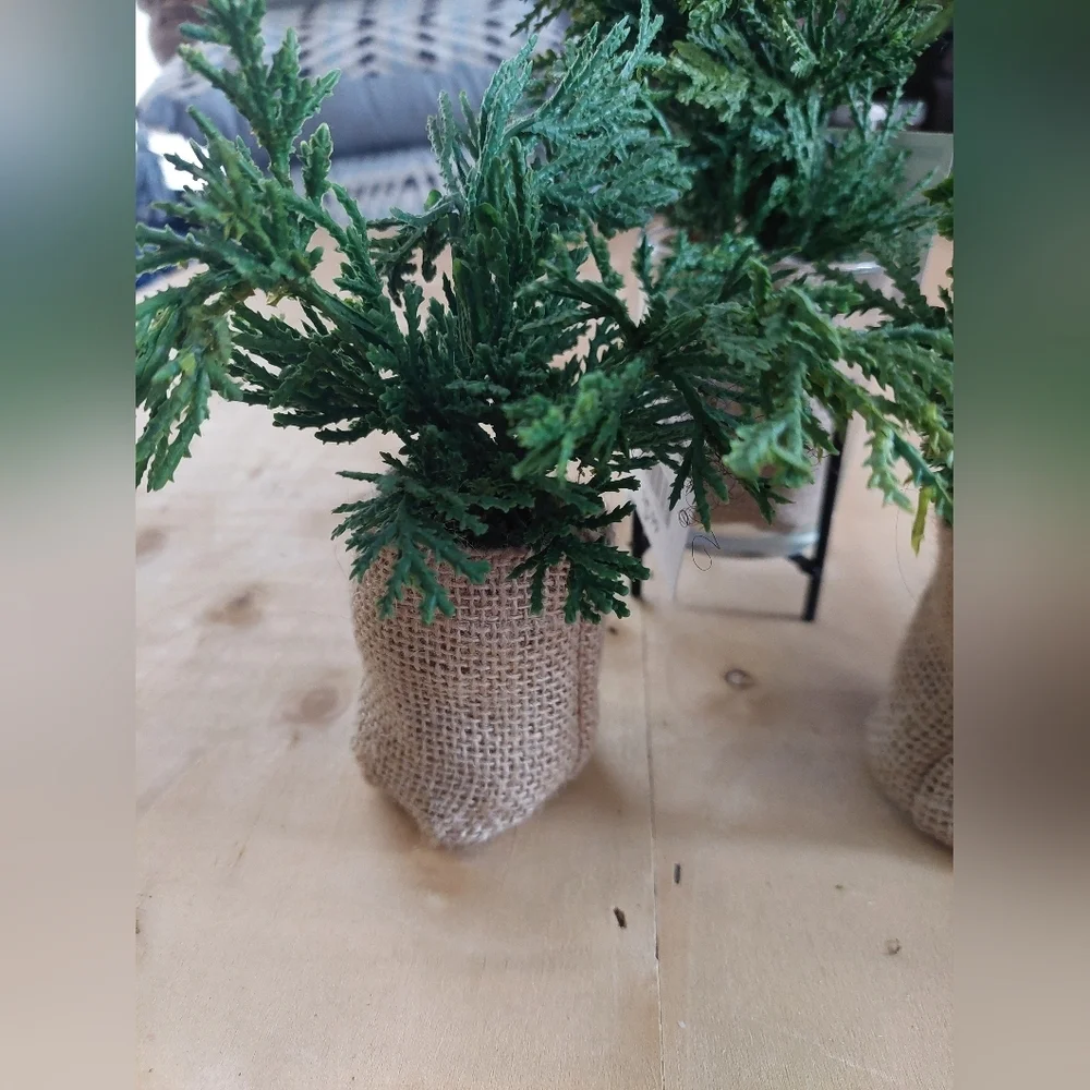 NEW WITH TAGS 3pcs At HOME Plants Set Burlap BAG  Small Greenery. (A)